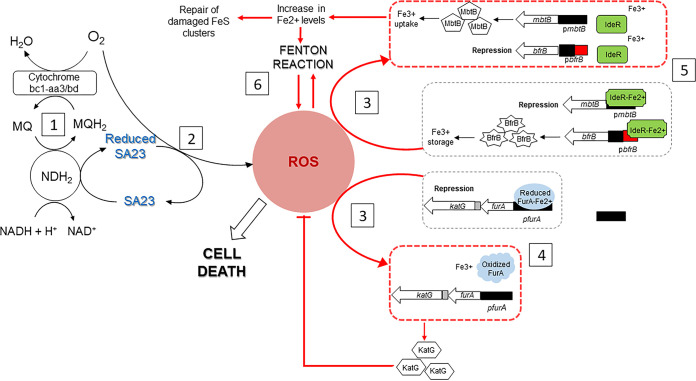 FIG 6