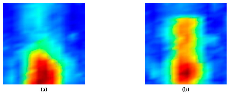 Figure 20