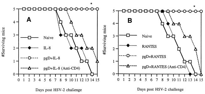 FIG. 8