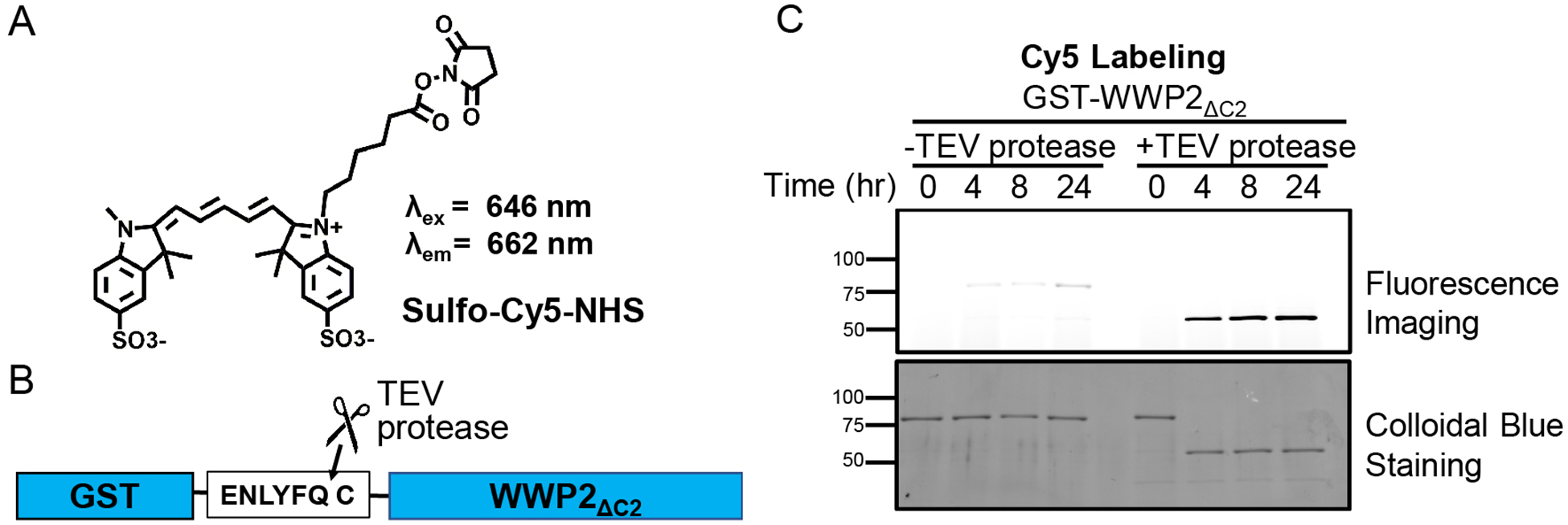 Figure 5.