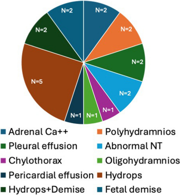 Fig. 6