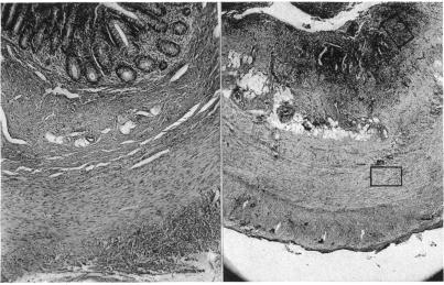 FIG. 3. A B