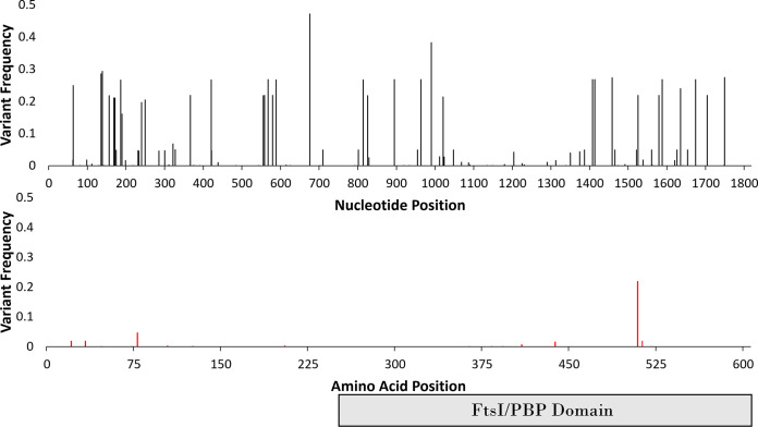 FIG 1