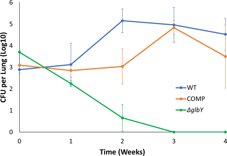 FIG 6