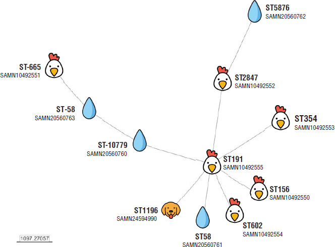 FIGURE 1.