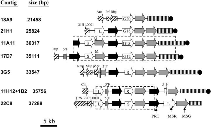 Figure 1.—