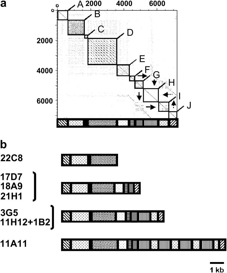 Figure 5.—