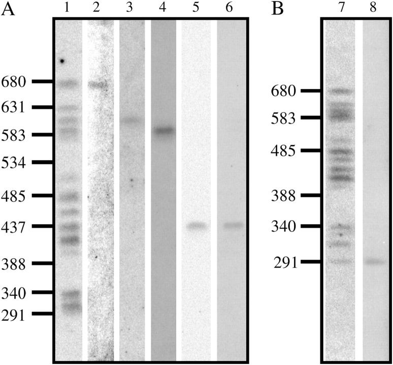 Figure 2.—