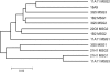 F<sc>igure</sc> 3.—