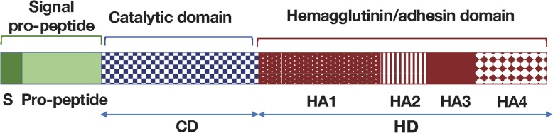 Fig. 1