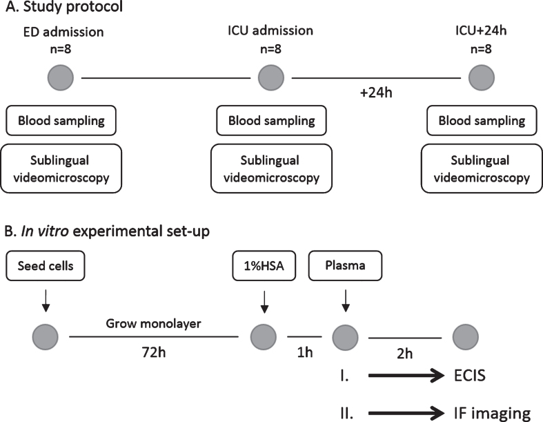 Fig.1