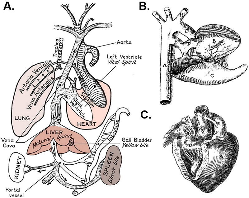 Fig. 1 –