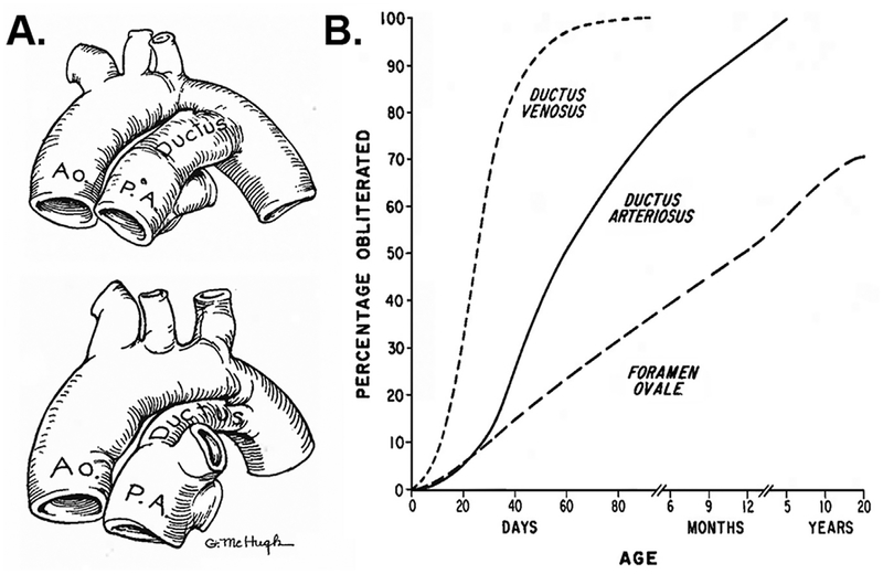 Fig. 2 –