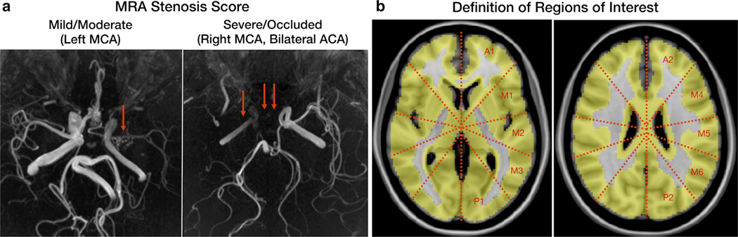 FIGURE 2: