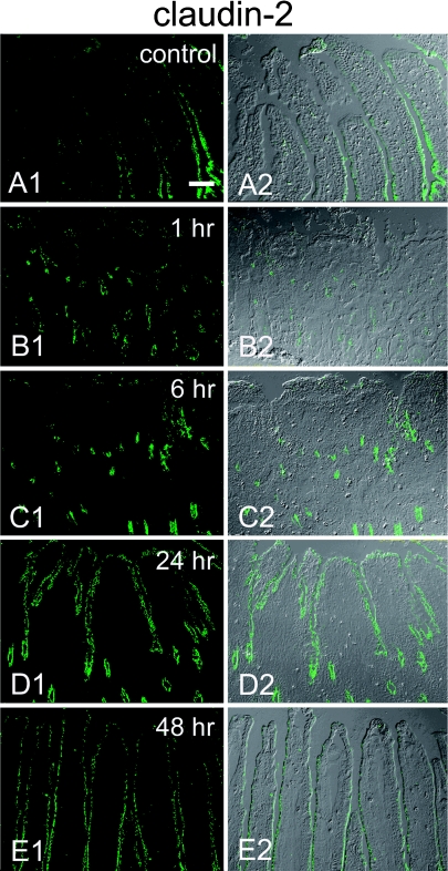 Fig. 4