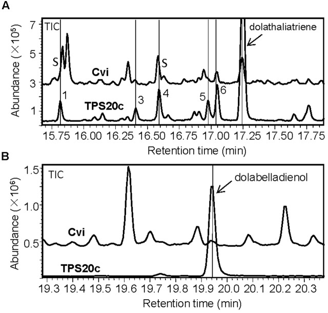 FIGURE 4