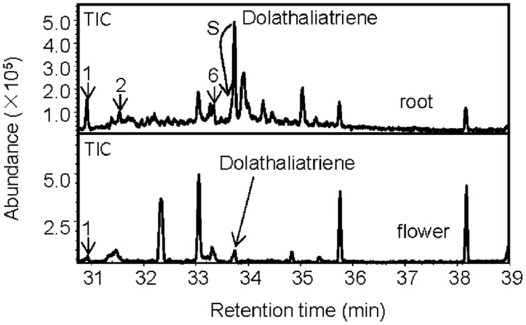 FIGURE 3