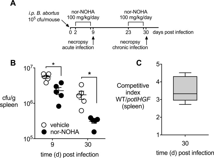 FIG 3