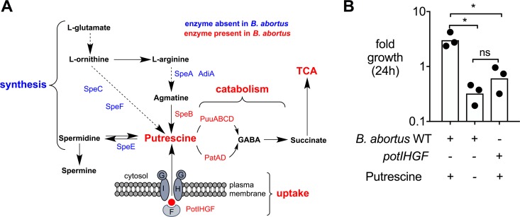 FIG 1