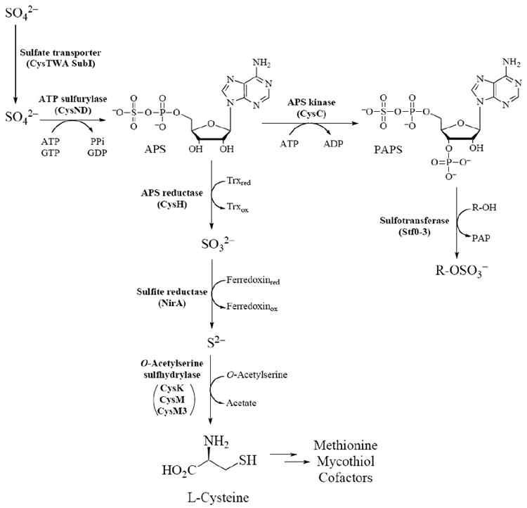 Fig. (3)