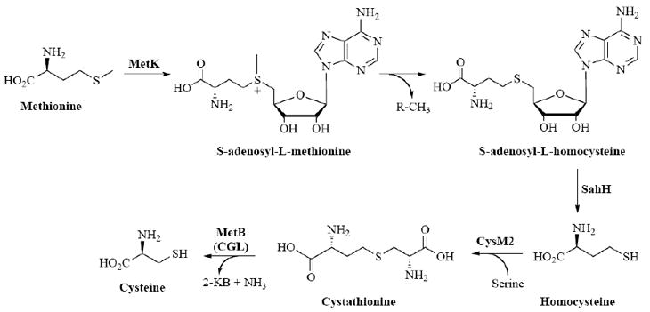 Fig. (7)