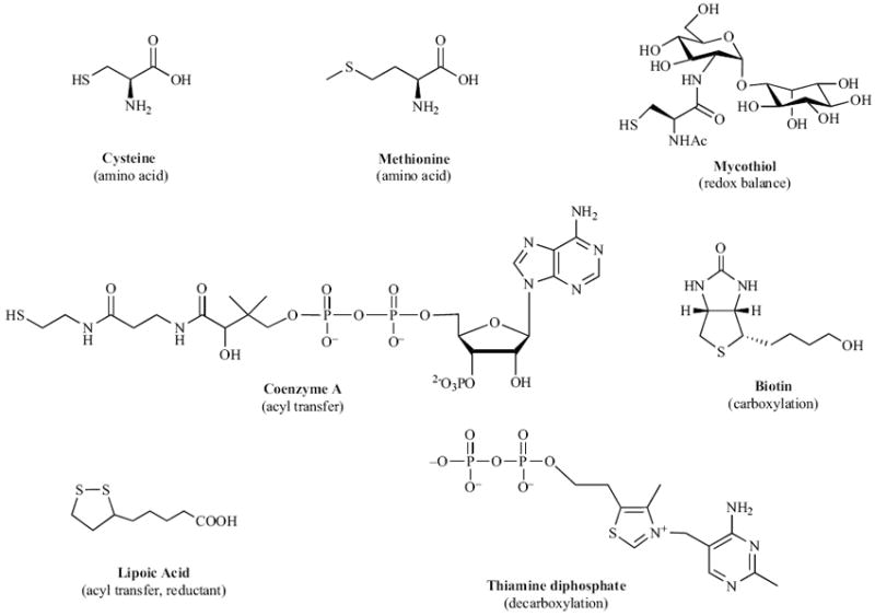 Fig. (1)