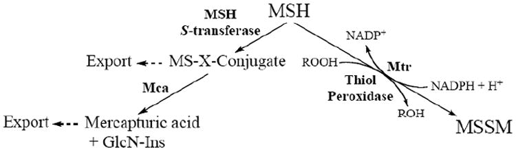 Fig. (6)