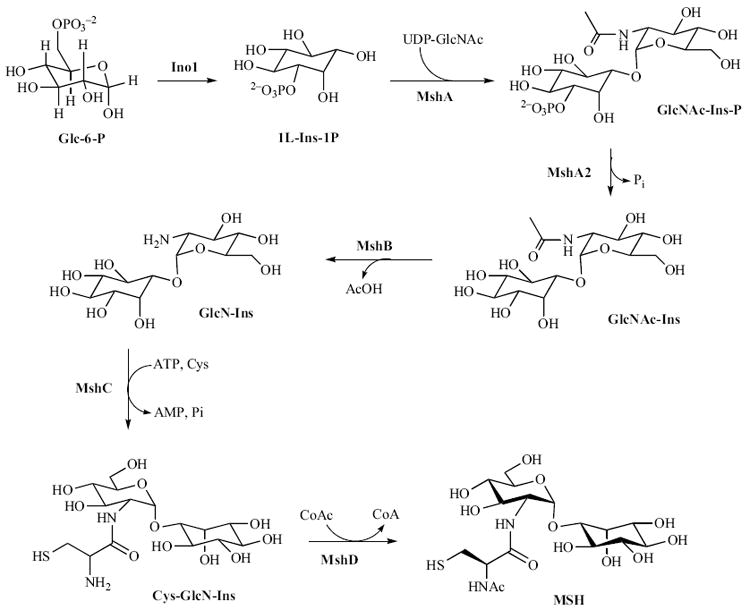 Fig. (5)