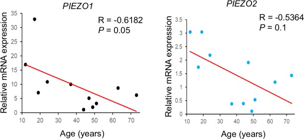 Figure 11.