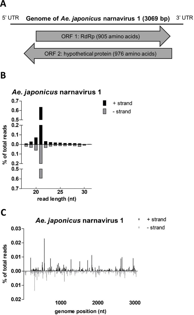 Fig 7