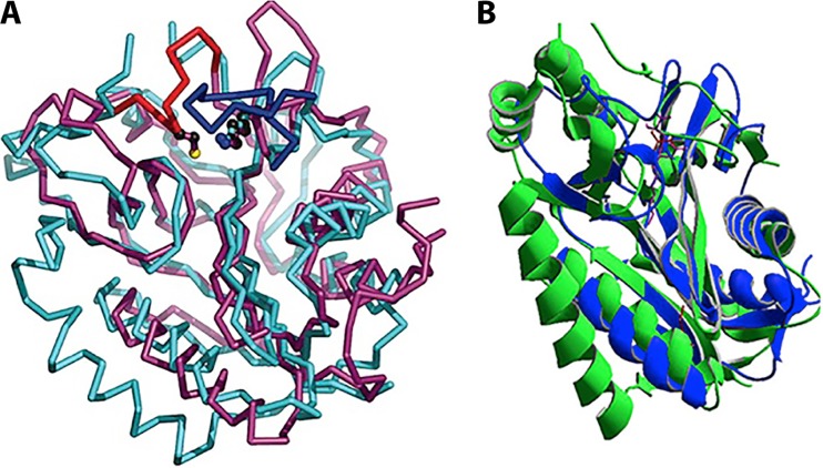 FIG 6