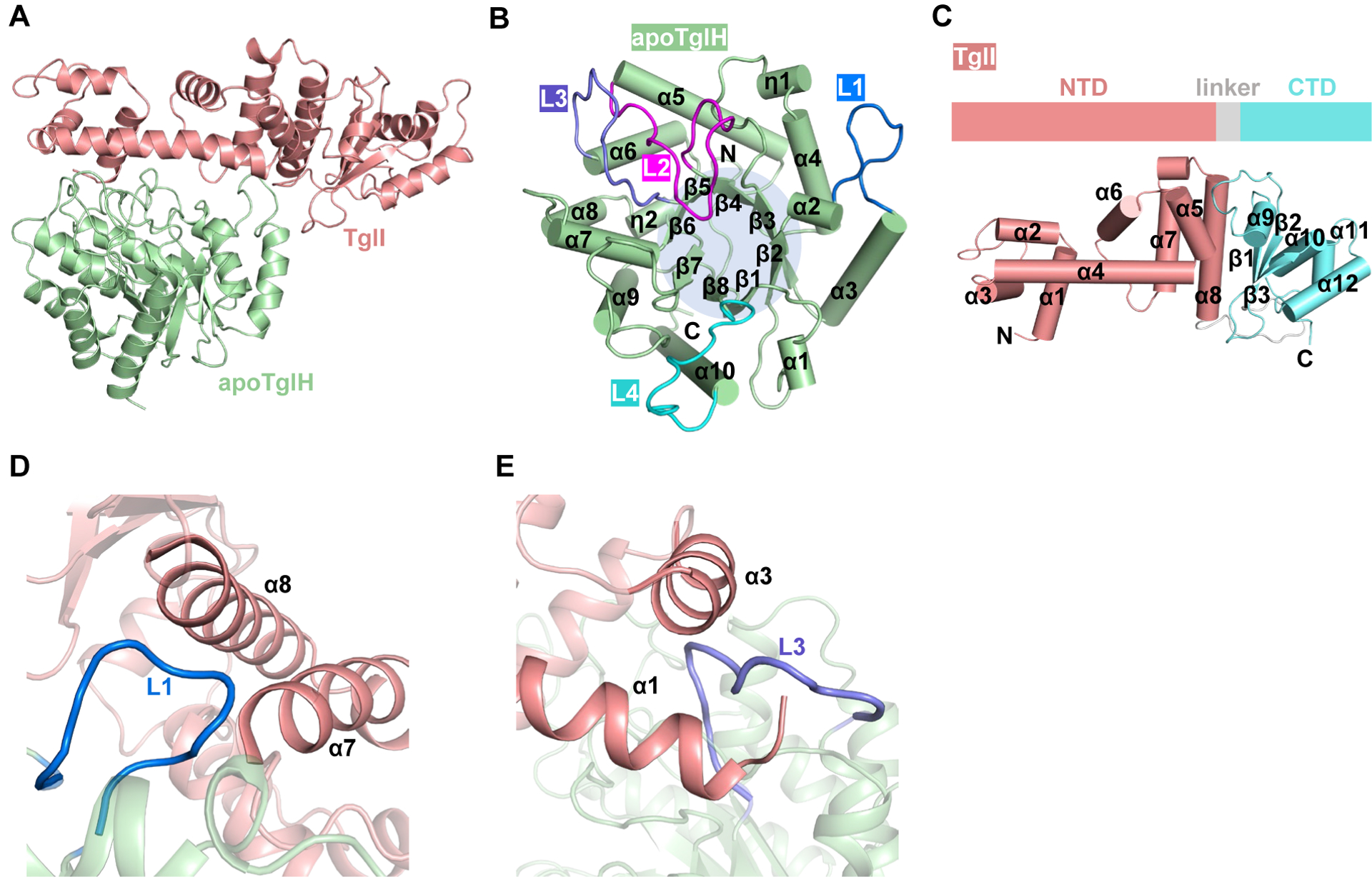 Figure 2.