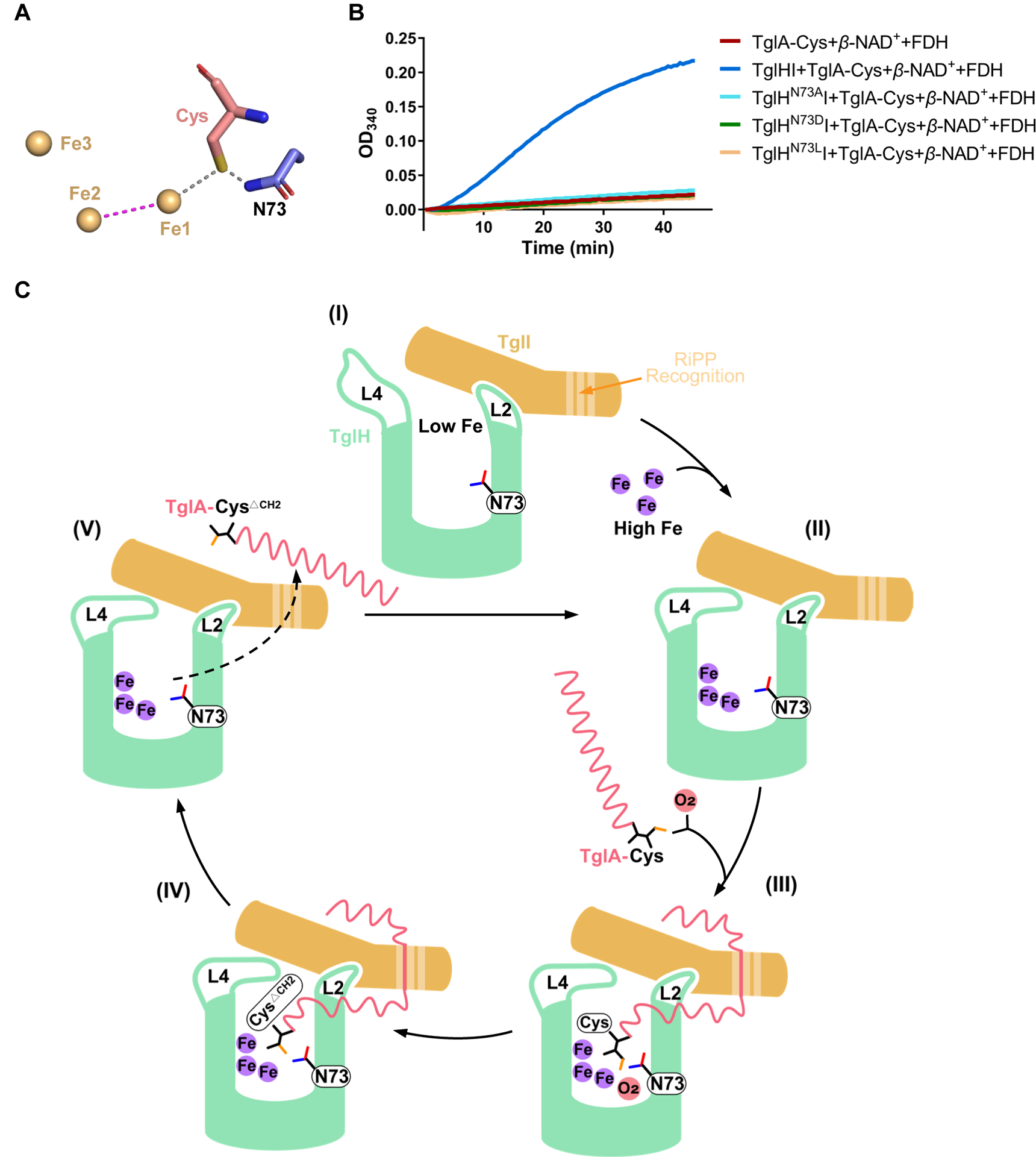 Figure 5.