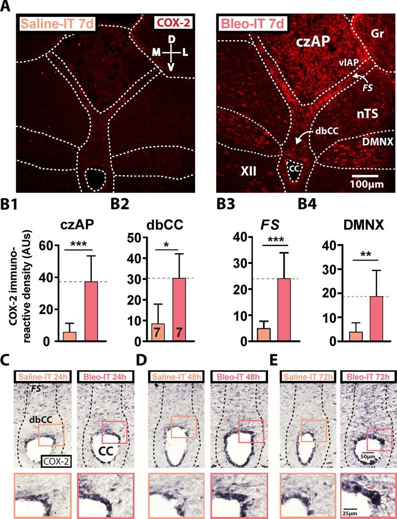 Figure 3: