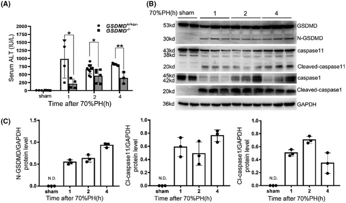 FIGURE 3