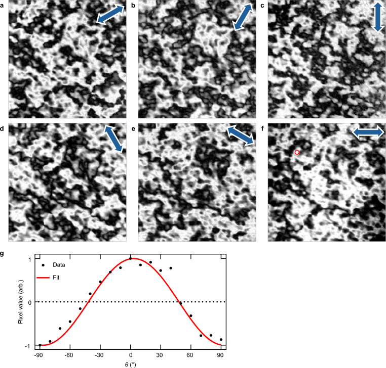 Extended Data Fig. 7