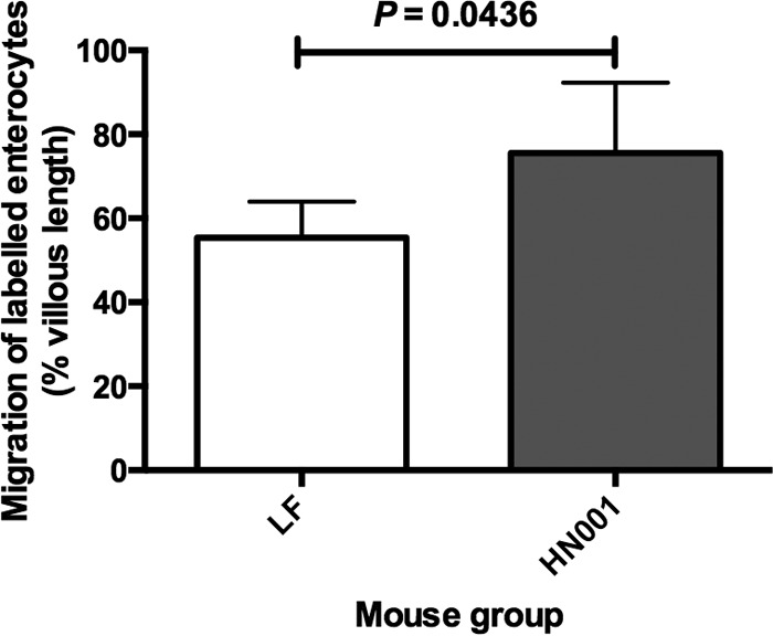 FIG 3