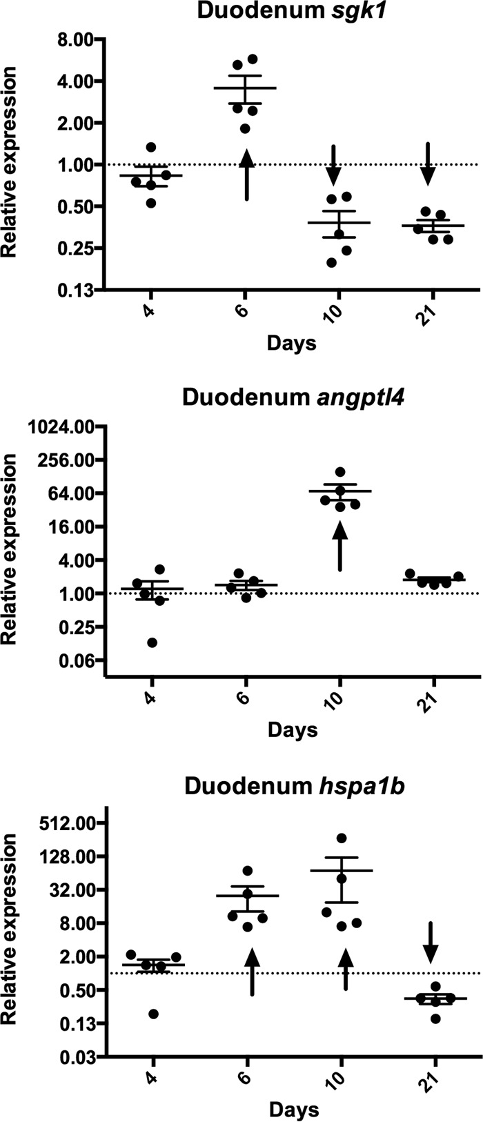 FIG 1