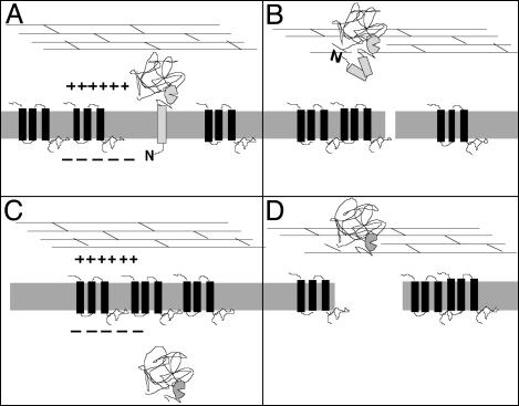 Fig. 5.