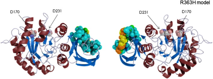 Fig. 2