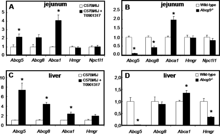 FIGURE 4.