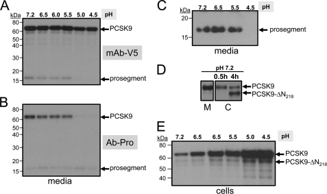 FIGURE 7.