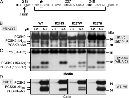 FIGURE 12.