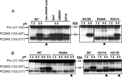 FIGURE 13.