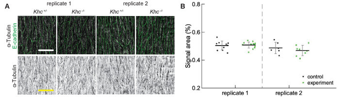 Appendix 1—figure 1.