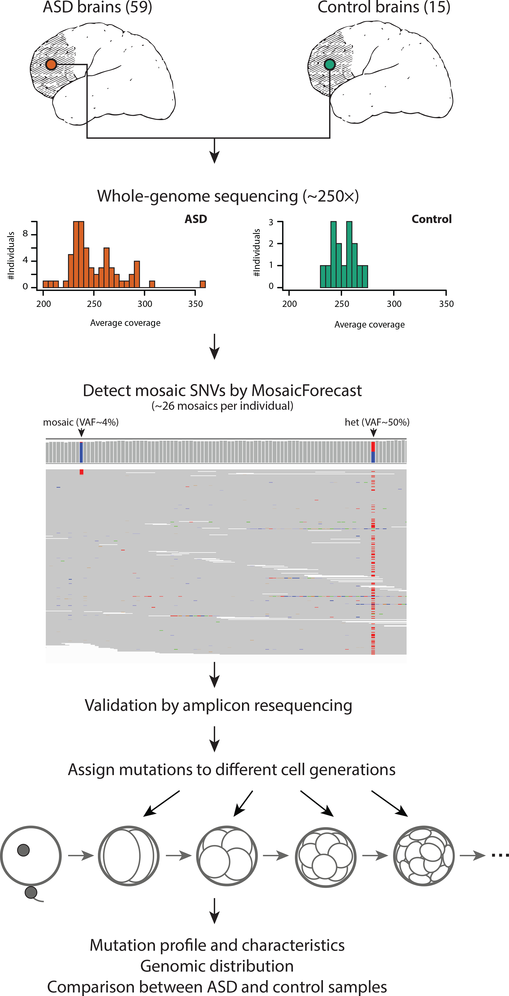 Figure 1: