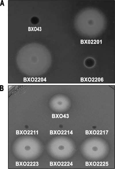 FIG. 3.