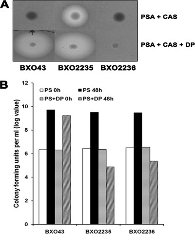 FIG. 8.