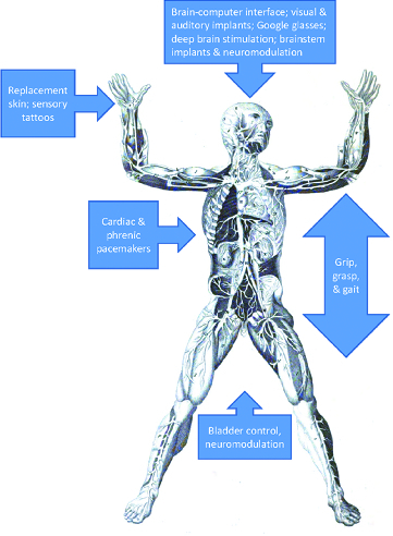 FIGURE 2. 