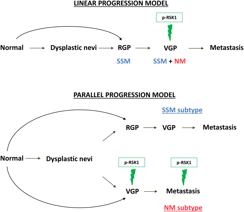 Figure 6